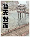 替嫁侍妾带球跑了